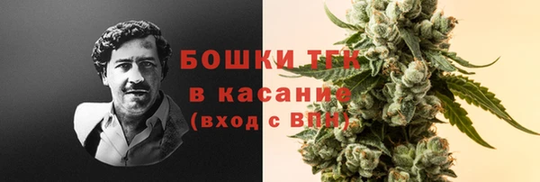 apvp Алзамай