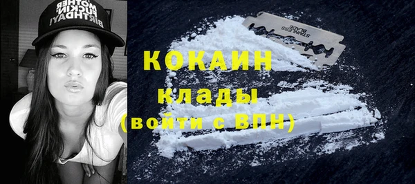 твердый Алексин