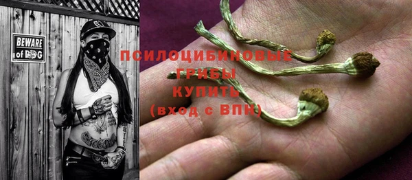 apvp Алзамай