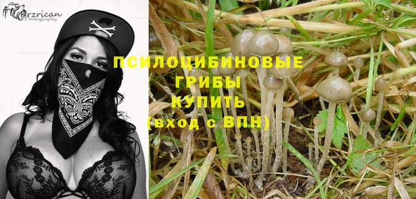 твердый Алексин