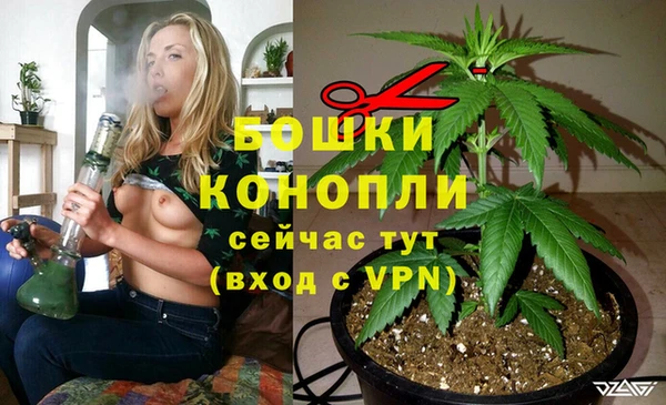 spice Абаза
